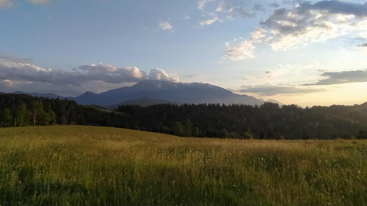 Appartamento Kmetija Pecnik Prevalje Esterno foto