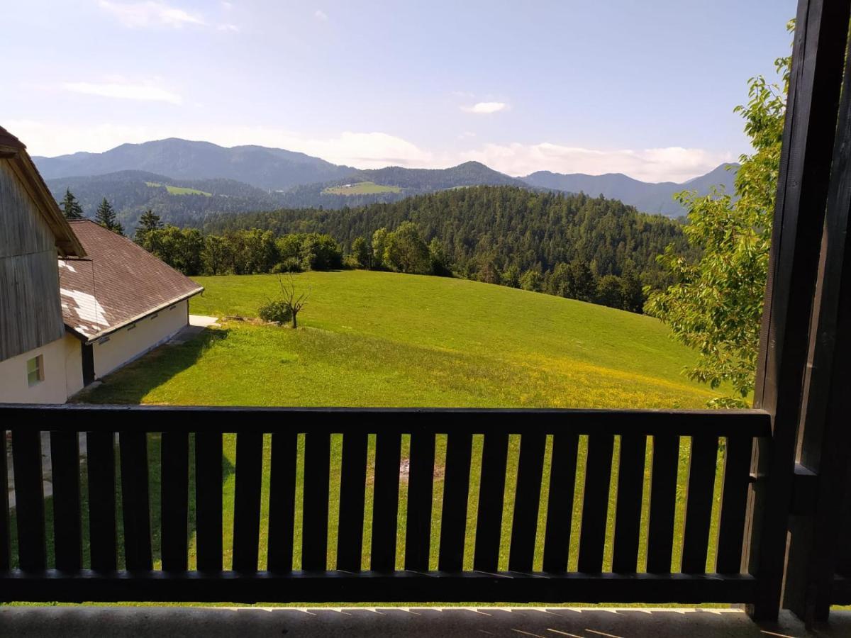 Appartamento Kmetija Pecnik Prevalje Esterno foto