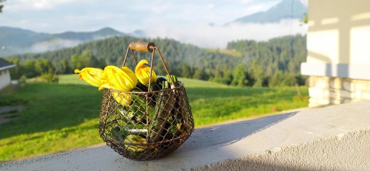 Appartamento Kmetija Pecnik Prevalje Esterno foto