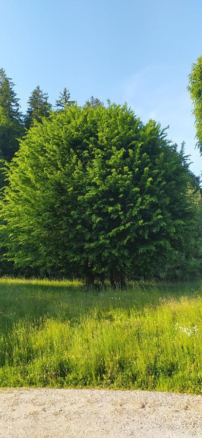 Appartamento Kmetija Pecnik Prevalje Esterno foto