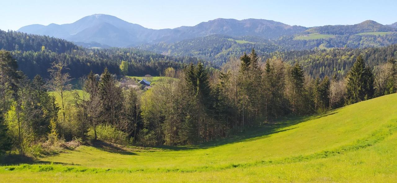 Appartamento Kmetija Pecnik Prevalje Esterno foto