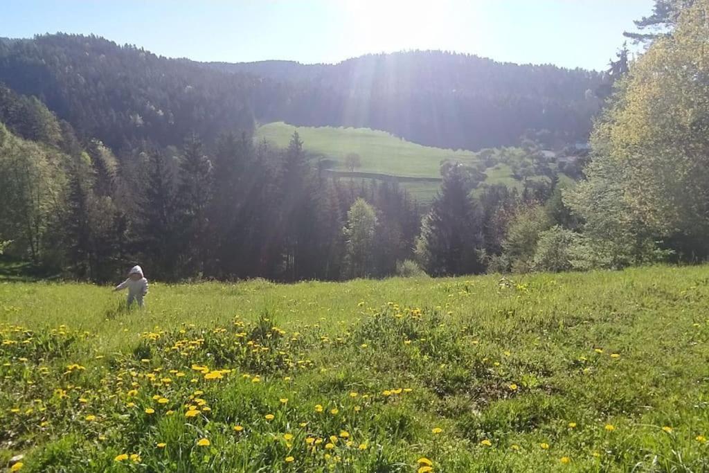 Appartamento Kmetija Pecnik Prevalje Esterno foto