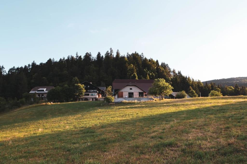 Appartamento Kmetija Pecnik Prevalje Esterno foto