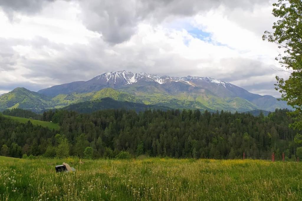 Appartamento Kmetija Pecnik Prevalje Esterno foto