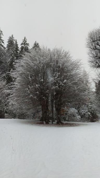 Appartamento Kmetija Pecnik Prevalje Esterno foto