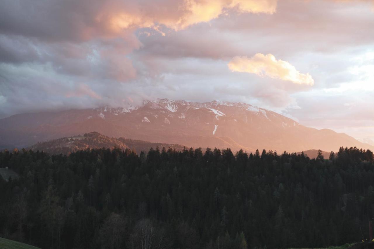 Appartamento Kmetija Pecnik Prevalje Esterno foto
