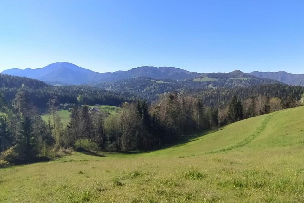 Appartamento Kmetija Pecnik Prevalje Esterno foto